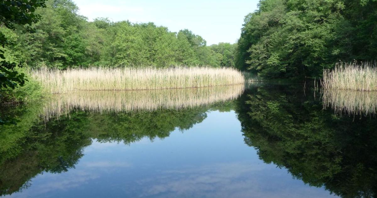 Katharinenholz und Düstere Teiche Landeshauptstadt Potsdam