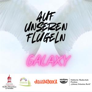 Ein CD-Coverbild: Wir sehen von unten auf zwei weisse Gefieder