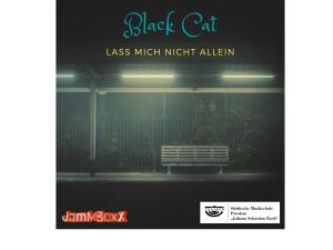 3_black_cat4-3quadrat.jpg