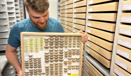 Volontär Robin Richter mit Insektenkasten aus der Sammlung Gericke