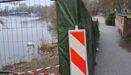 Schwan an Neustädter Havelbucht