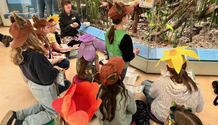 Erlebter Frühling - Museumsrallye im Naturkundemuseum