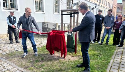 Baumlehrpfad wächst weiter: Zum Tag des Baumes erhält Maulbeerbaum neues Informationsschildßes Waisenhaus