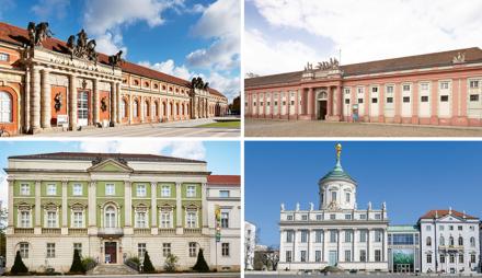 Collage aus Filmmuseum, Potsdam Museum, Naturkundemuseum und Brandenburg Museum