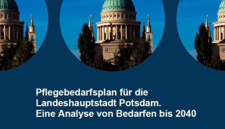 Pflegebedarfsplan der LHP