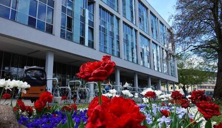 Blumen vor dem Bildungsforum Potsdam