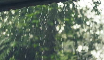 Regen