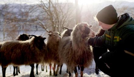 Foto: © f(x) produksjoner AS