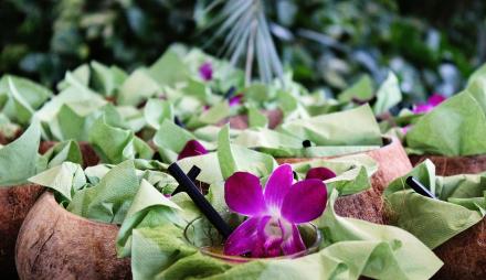 Cocktail aus der Kokosnuss, Foto: J. Ziemann, Lizenz: Biosphäre Potsdam