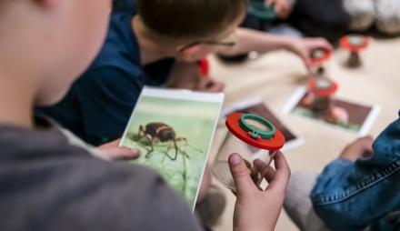 Forschen mit der Becherlupe, Foto: David Marschalsky, Lizenz: Naturkundemuseum Potsdam