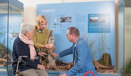 Wie und wo lebt eigentlich der Fischotter?, Foto: Nadine Quenzel, Lizenz: TMB-Fotoarchiv