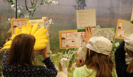Wer kennt die Antworten? Die Rallyebögen werden von Kindern ausgefüllt, Foto: Anne Vierling, Lizenz: Naturkundemuseum Potsdam
