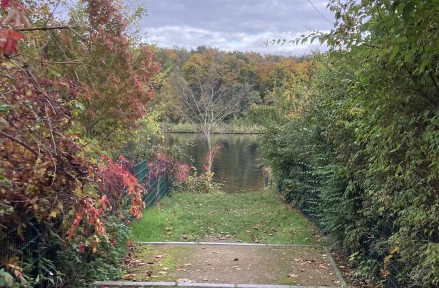 Blick auf den Griebnitzsee von einer leichten Erhöhung 