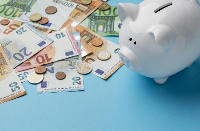 Mehrere unterschiedliche Geldscheine und Münzen neben einem weißen Sparschwein.