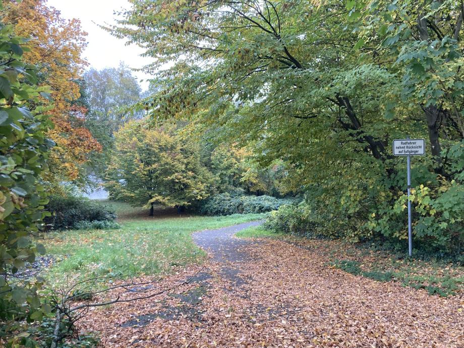 Ein Weg am Griebnitzsee, der voller Blätter ist.