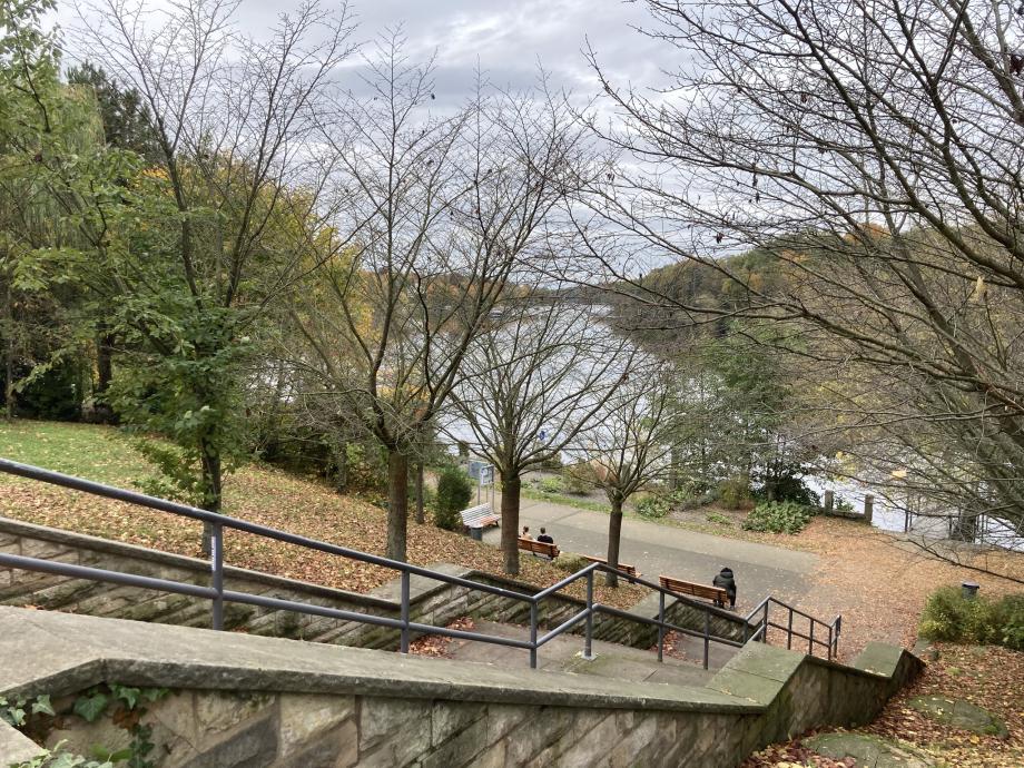 Eine Steintreppe, die hinab zum Uferweg des Griebnitzsees führt.