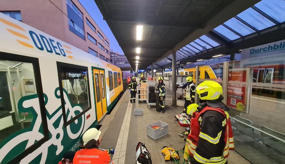 FWP 7 HBF