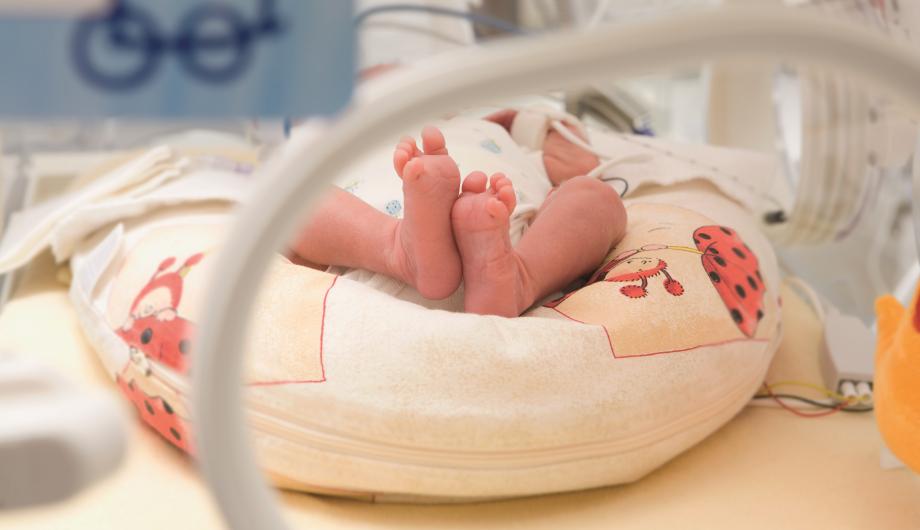 Frühchen im Inkubator auf der Potsdamer Neonatologie