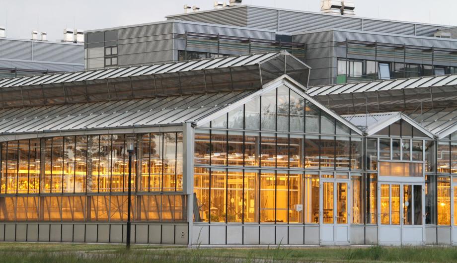 Das Gewächshaus des Max-Planck-Instituts für Molekulare Pflanzenphysiologie, 2016 - Greenhouse of the Max Planck Institute of Molecular Plant Physiology, 2016  (© Landeshauptstadt Potsdam,