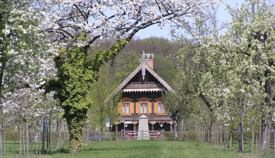 Baumblüte in der Alexandrowka, im Hintergrund Haus Nr. 1, 2005 - Blossom season in Alexandrovka, in the background: House no. 1, 2005 (© Landeshauptstadt Potsdam,