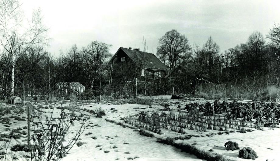 Kleingartennutzung in der Alexandrowka, 1985