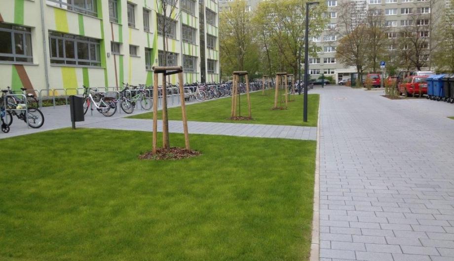 Rasen vom Mobilitätstag an der Rosa-Luxemburg-Schule