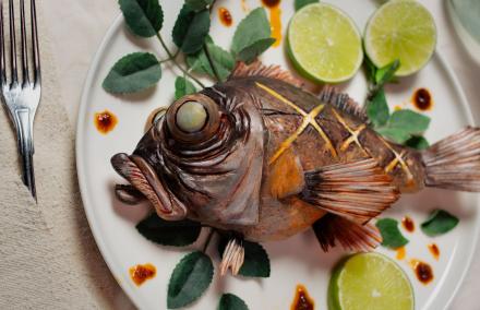 Ein toter Tiefsee-Fisch auf einem Teller