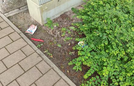 Vermüllung neben dem Gehweg