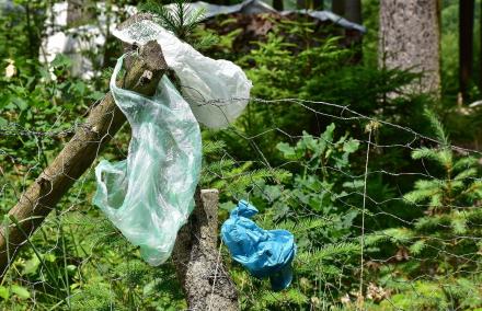 Plastiktütenfreier Tag