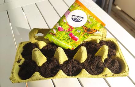 Upcycling Eierpackung Anzuchttöpfe aus Eierpackung
