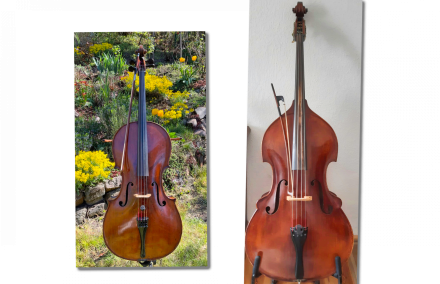 Cello & Kontrabass (Fotos. K.Hofmann/A.Baumann; edit C.Hillmann) zwei Einzelbilder Ein Cello vor buntem Gartenhintergrund und ein Kontrabass - beide Instrumente mit rötlich schimmernden Hölzern