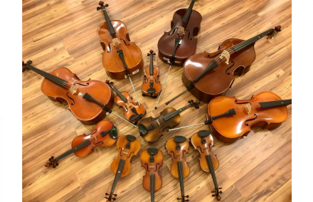 Instrumentenfamilie der Geigen Viele Geigen, Bratschen, Celli und Kontrabass liegen sternförmig dekorativ auf einem hölzernen Fussboden