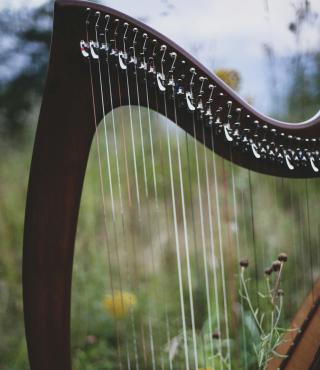 In malerischem verschwommenen Naturgrün sehen wir eine Hakenharfe