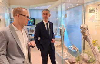 Naturkundemuseum Potsdam: Bilanz 2023 und Ausblick 2024