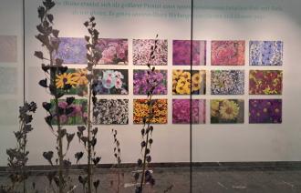 Foerster Ausstellung - mehrere Bilder von Blumen an der Wand