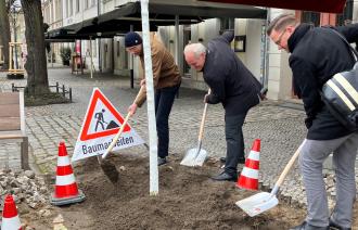Pflanzung neuer Ulmen für die Dortustraße. V.l.n.r.: Jan Lesniak, Bernd Rubelt, Robert Erler