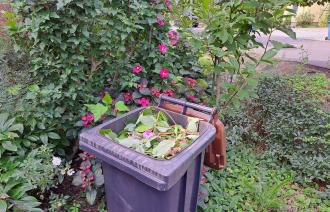 Was gehört in die Biotonne. Tipps zur Mülltrennung.