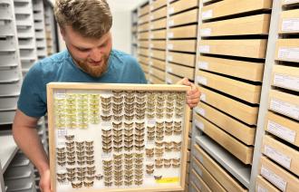 Volontär Robin Richter mit Insektenkasten aus der Sammlung Gericke