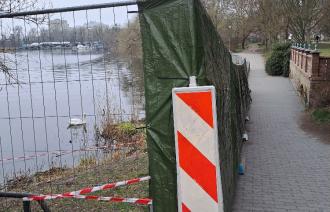 Schwan an Neustädter Havelbucht