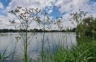 Blick auf die Havel