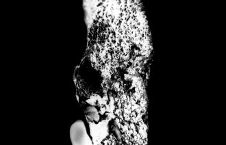 fossilized lung from Black Coal disease