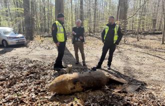 Bombeneinsatz am 21. April 2026 im Wildpark erfolgreich. Beigeordneter Bernd Rubelt und die Einsatzleitung im Gespräch mit Sprengmeister Mike Schwitzke.