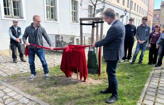 Eröffnung des Baumlehrpfades zwischen Naturkundemuseum und Großes Waisenhaus