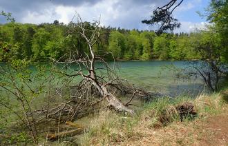 Biosphärenreservate und Naturparks sichern wertvolle Ökosysteme.