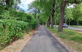 Radweg Nedlitzer-Straße