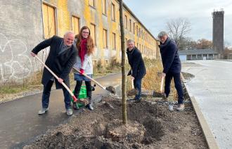 Bernd Rubelt, Birgit Peseke-Lusti, Mike Schubert und Bert Nicke pflanzen die ersten neuen Bäume in Krampnitz