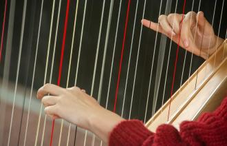 Wir sehen die Großaufnahme von vielen Saiten einer Harfe - und zwei Hände, die sie zupfen und in Schwingung versetzen.