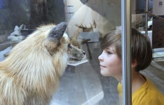 Winter im Naturkundemuseum