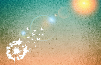 Pusteblume und Sonne