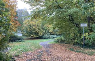 Ein Weg am Griebnitzsee, der voller Blätter ist.
